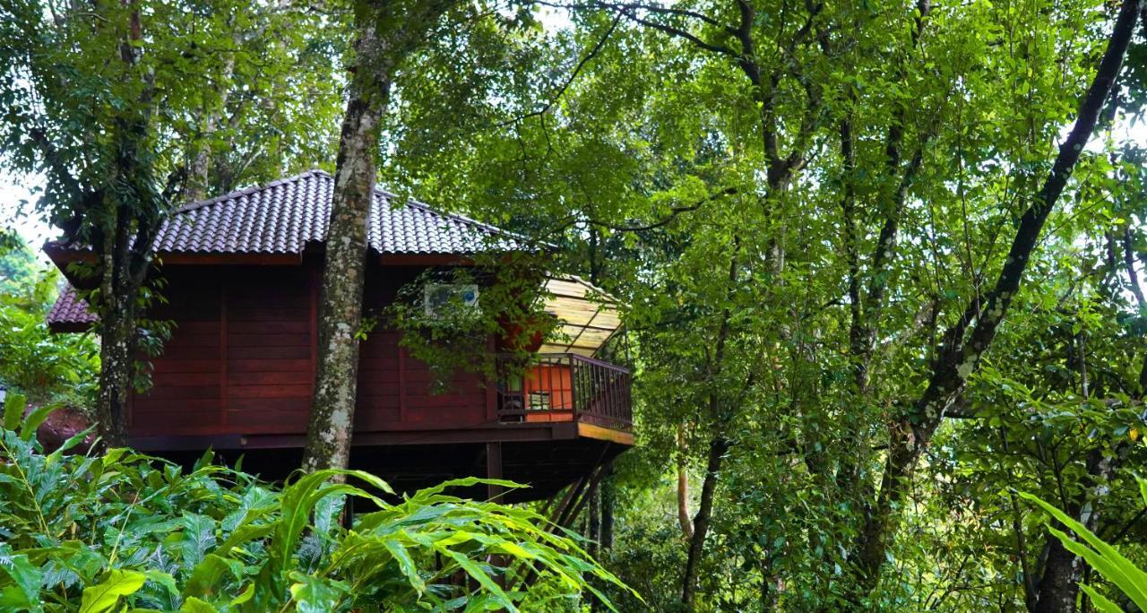 Tree House