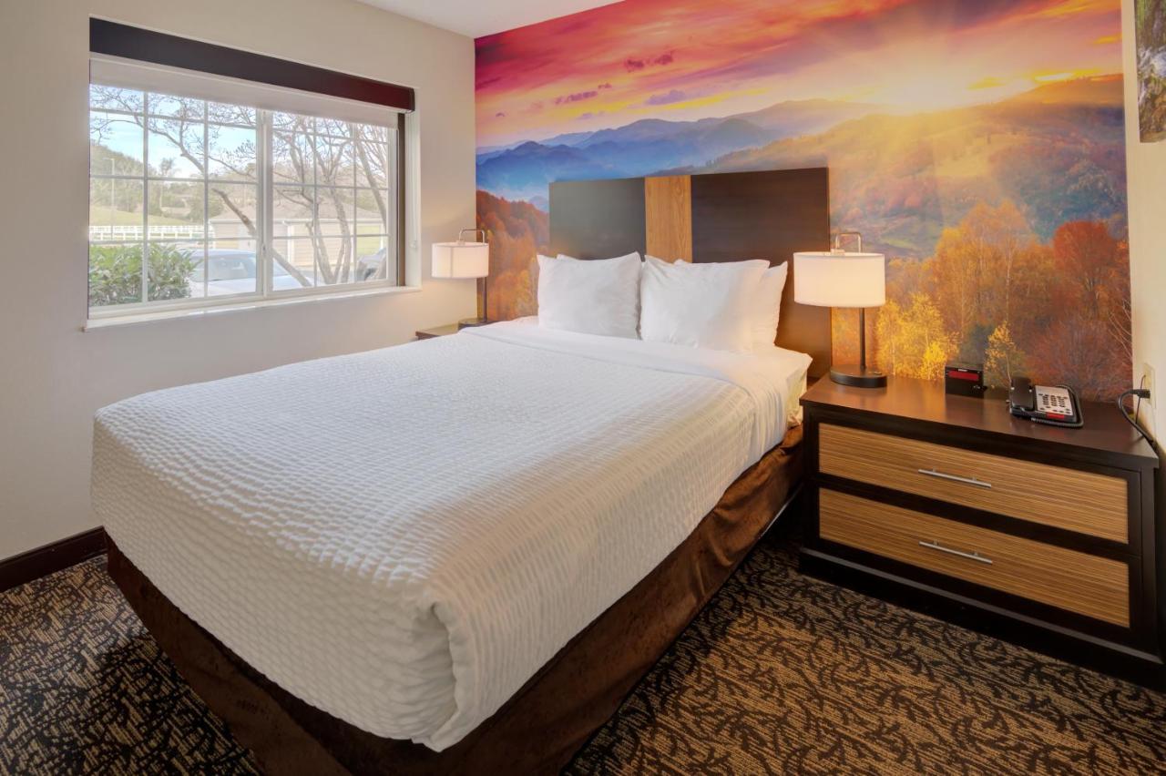 One-Bedroom Suite with One Queen Bed and Sofa Bed