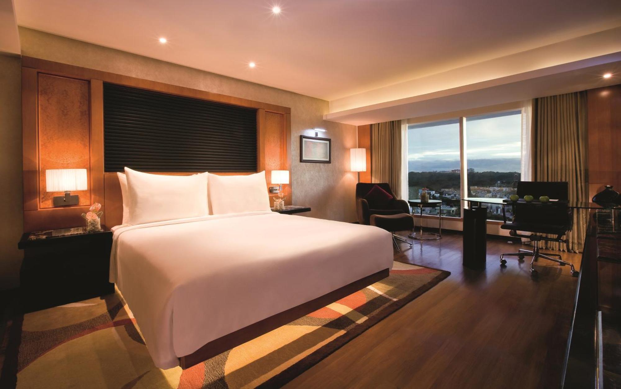 Executive Terrace Room,702048568:JPEG