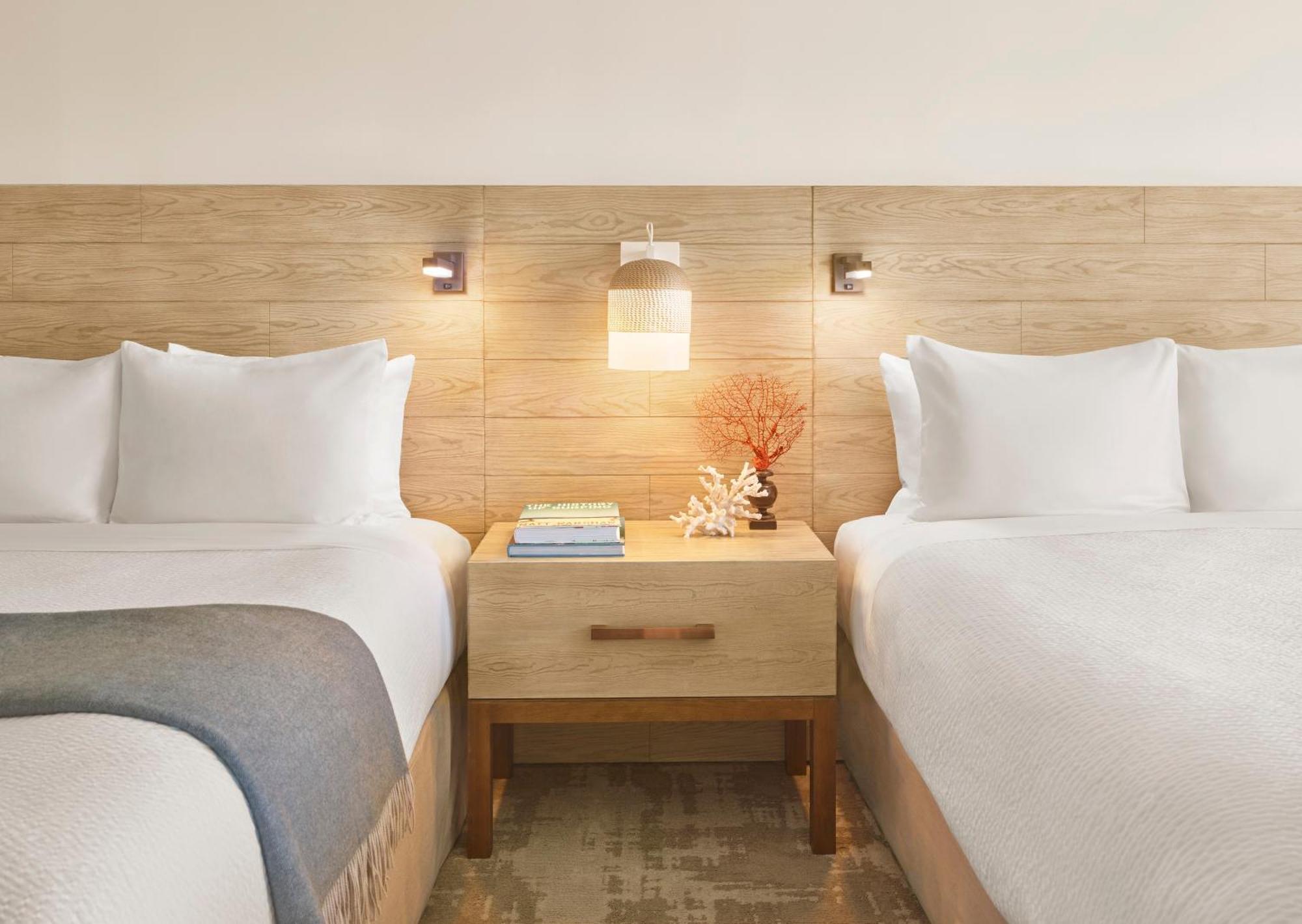 Double Room - Disability Access,1710591623:JPEG