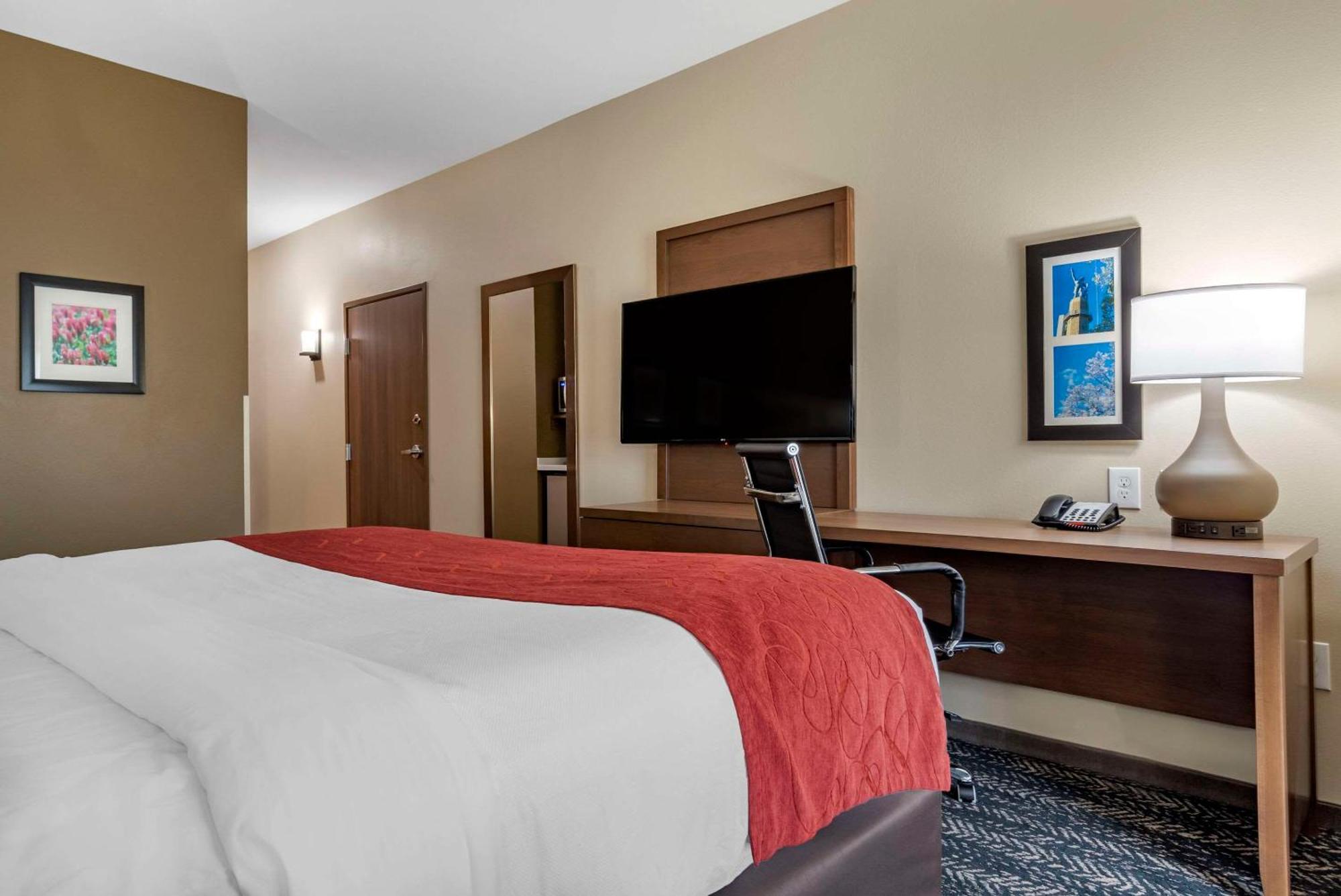 King Room with Roll-In Shower - Accessible/Non-Smoking