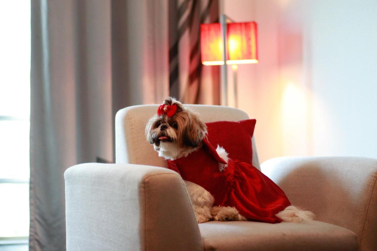 Pet Friendly Studio Suite with Living-cum-bedroom, Kitchenette and Premier Lounge access,1717083314:JPEG