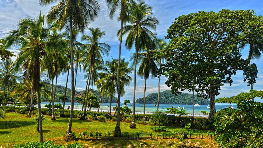 Deluxe Three-Bedroom Apartment with Sea View