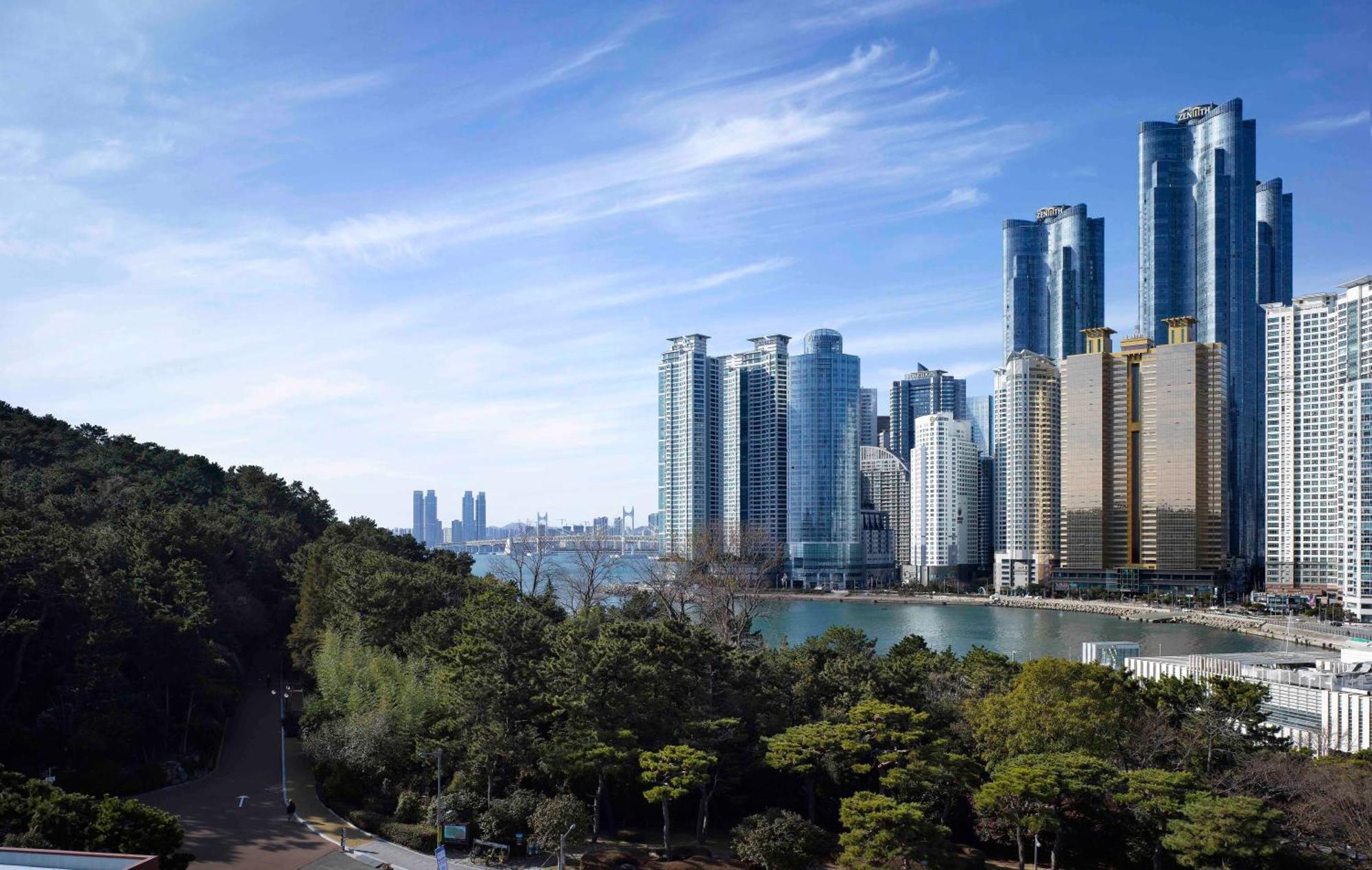 Deluxe Park Ondol, 1 King, Dongbaek Park view