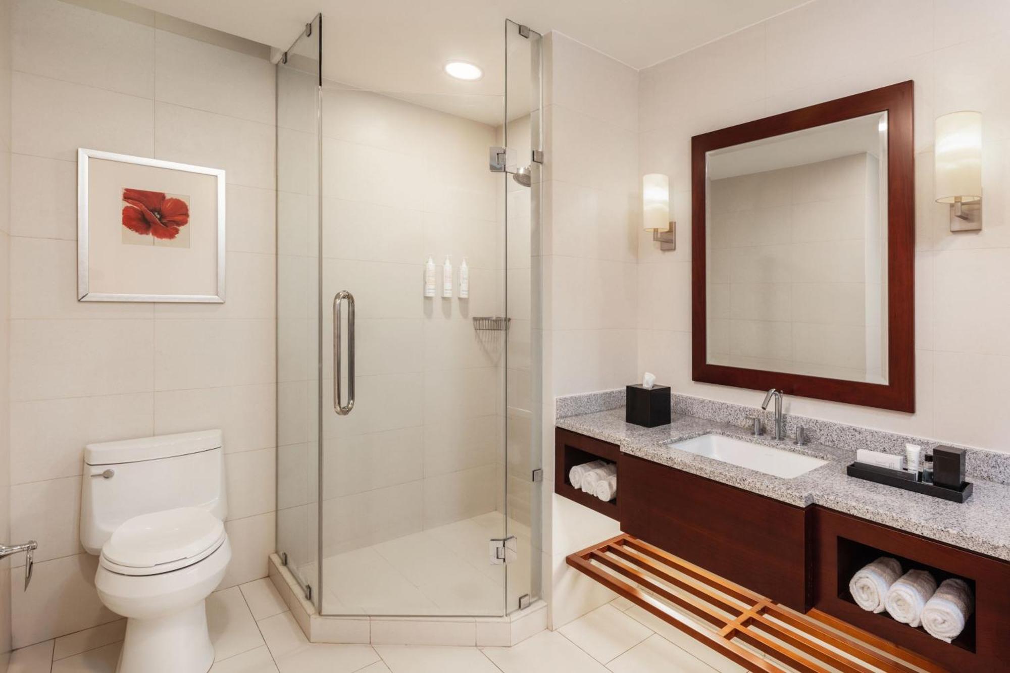 Executive level, Presidential Suite, 1 King, City view