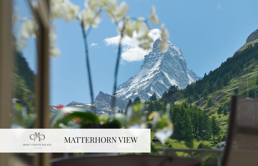 Alpine 1-Bedroom Suite with Matterhorn View