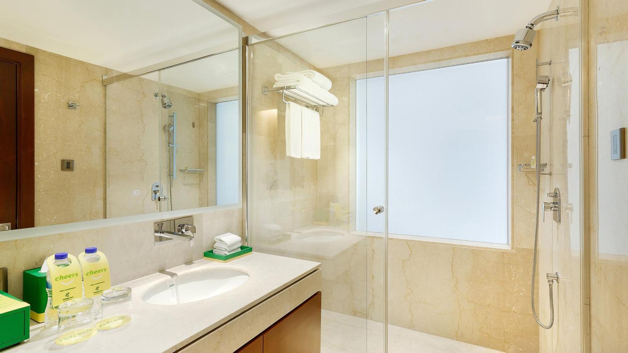 Premium Twin Room with Walk In Shower and City View
