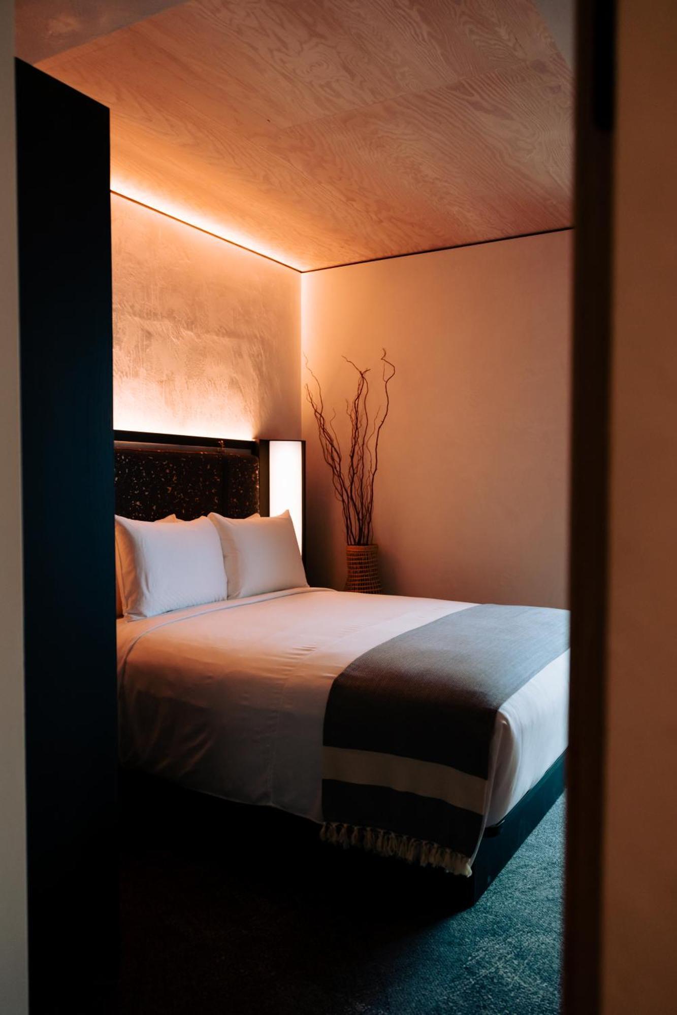 One-Bedroom Suite Accessible,1643023583:JPEG