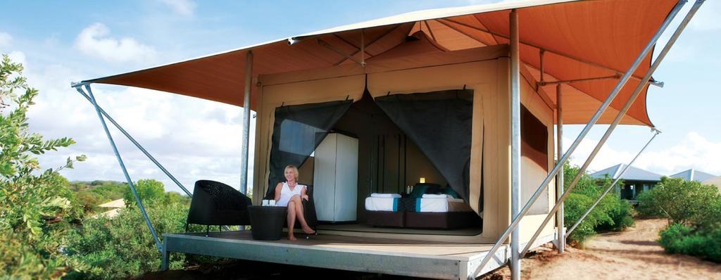 Garden View Eco Tent