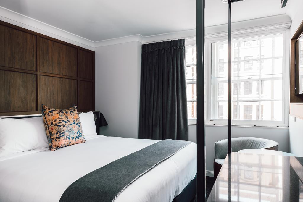 Comfy King,1282599778:JPEG