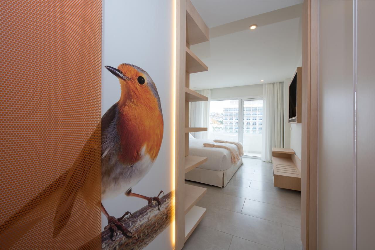 Twin Room with Sea View,641529495:JPEG