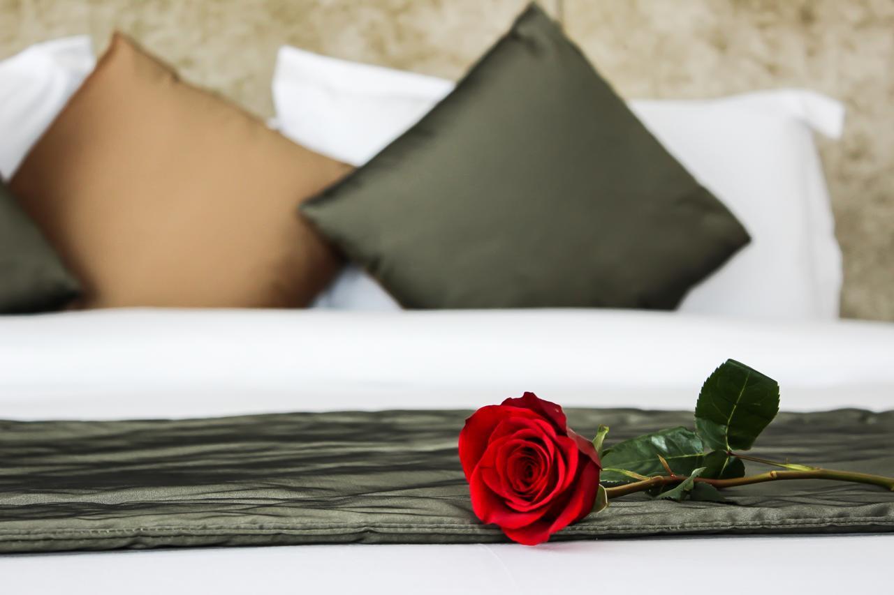 Premium Twin Room
