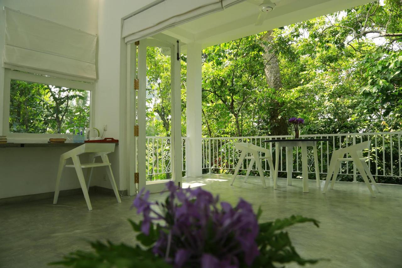 Deluxe Room with Jungle view,752388029:JPEG