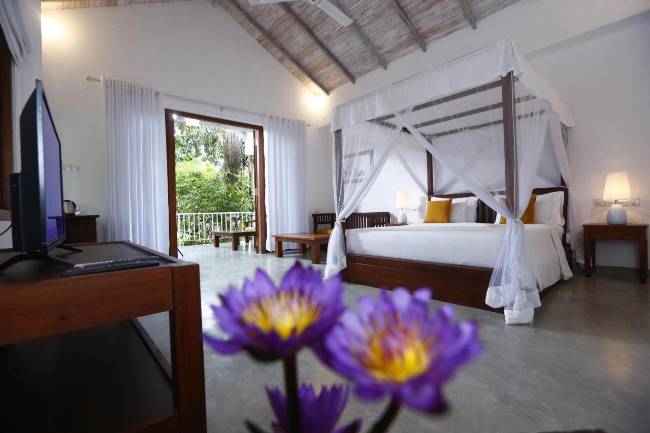 Superior Deluxe Room with Jungle view,943244473:JPEG