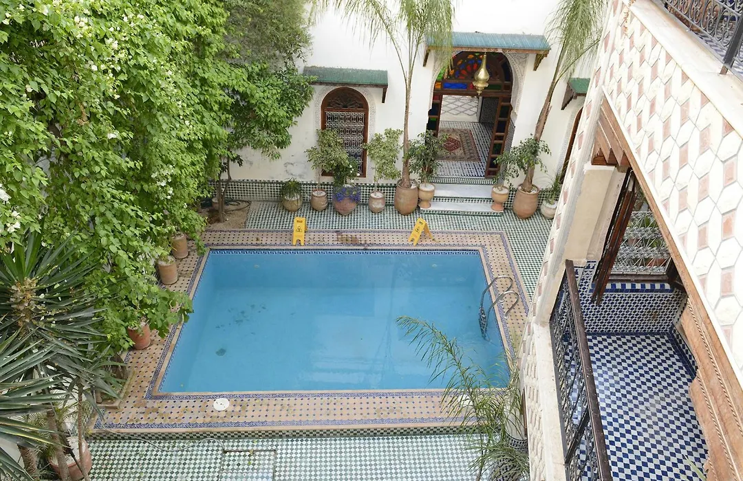 Riad El Yacout-1