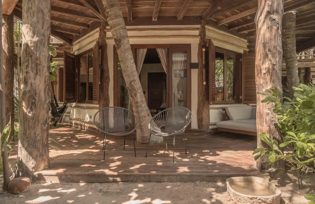Delek Tulum-1