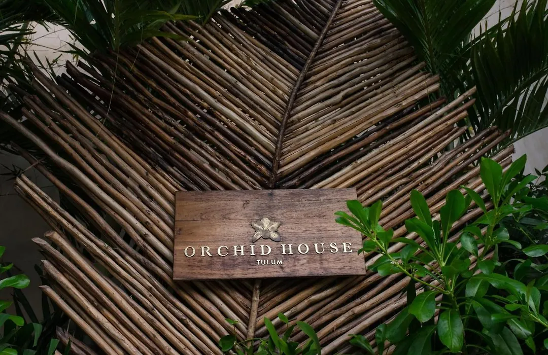 Orchid House Tulum Jungle-1