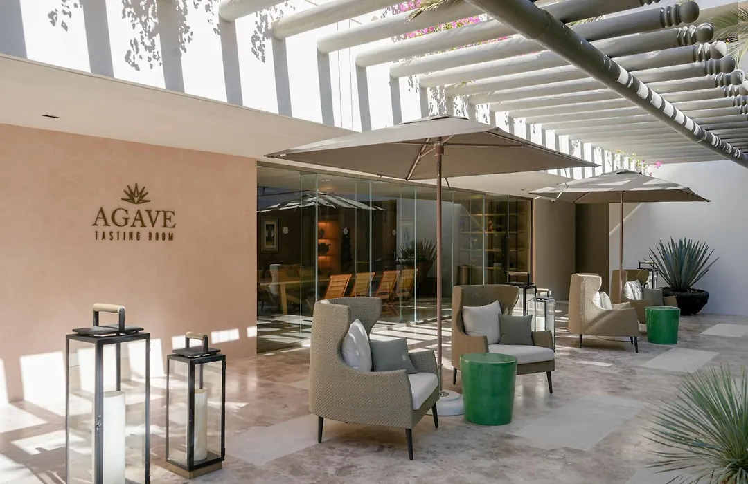 Grand Velas Boutique Hotel (Adults Only)-1