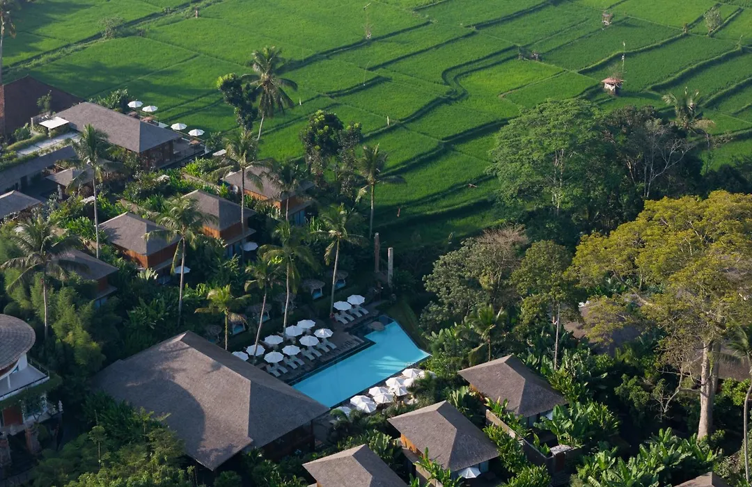 Kappa Senses Ubud-1