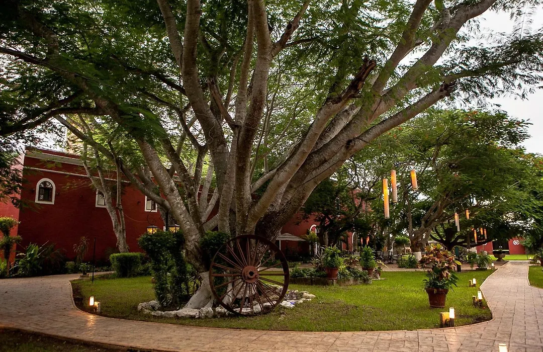 Hacienda Santa Cruz Merida-1