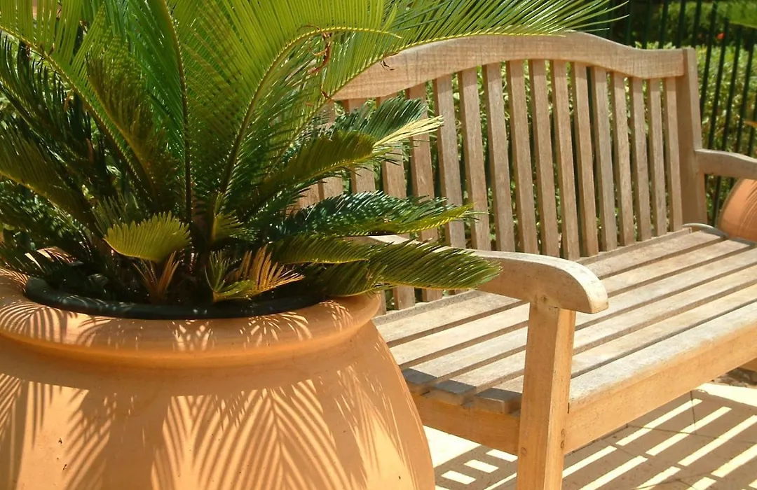 Cocos Beach Bungalows-1