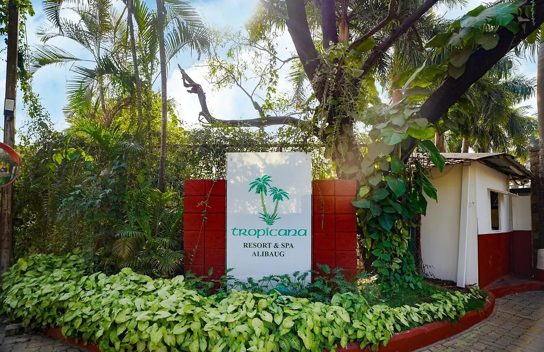 Tropicana Resort & Spa Alibaug, A Club Mahindra Associate-1