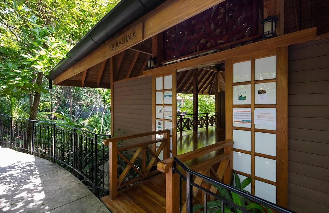 Bodhi Tree Yoga Resort-1