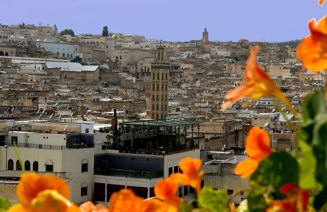 Dar Tazi - Medina View-1