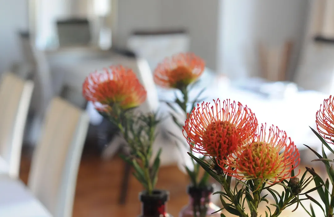 Abbey Manor Luxury Guesthouse-1