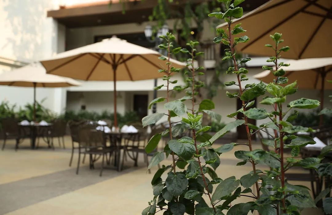 Rhythm Lonavala - An All Suite Resort-1