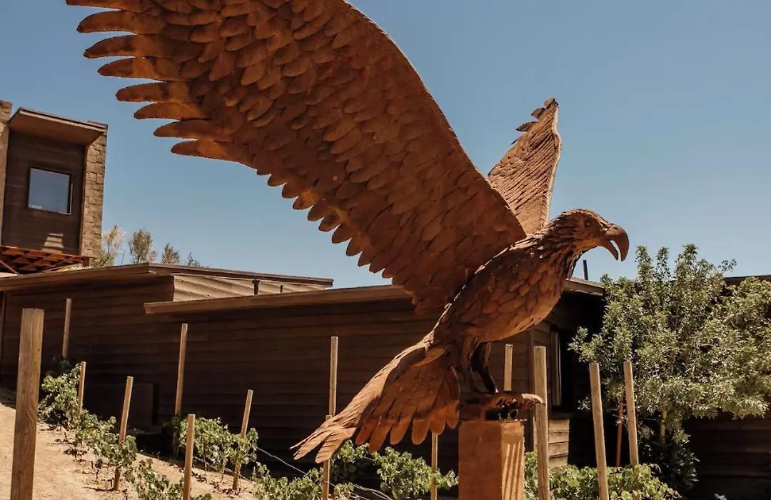 O2 Resort Valle De Guadalupe-1