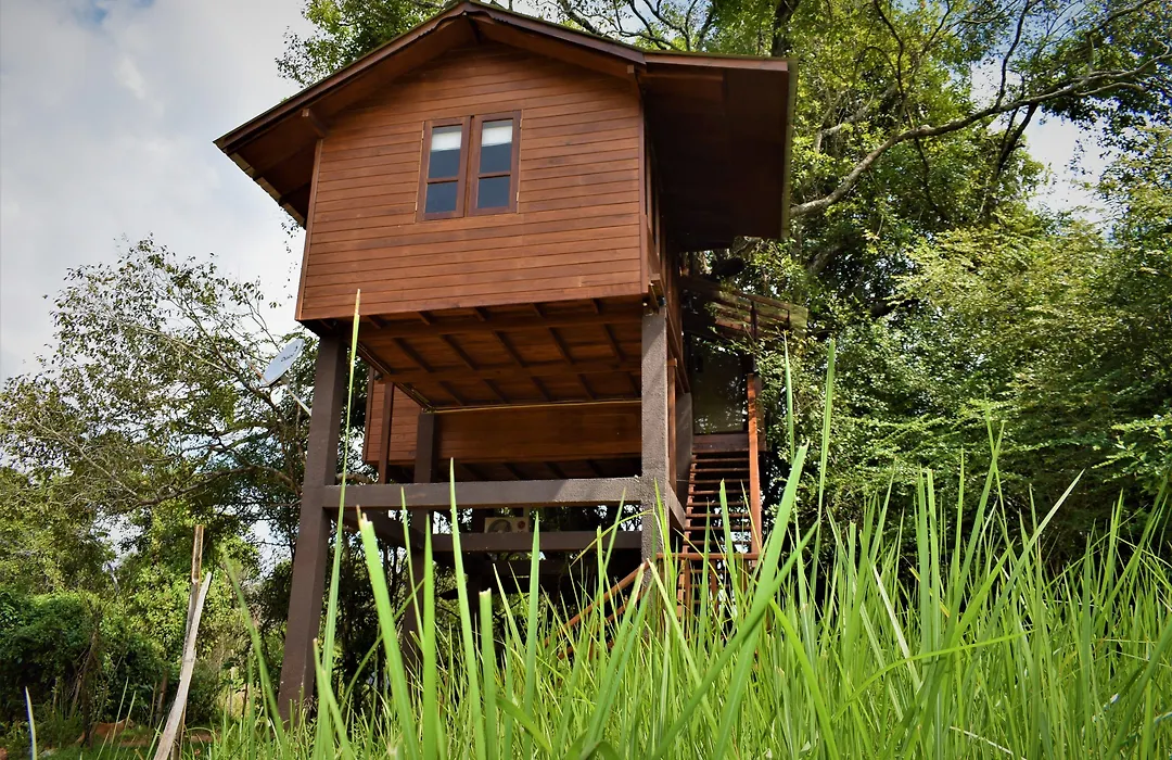 Sigiriya King'S Resort-1