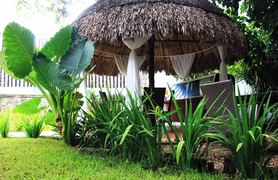 Mayan Art Hotel Boutique - 10Th Ave-1