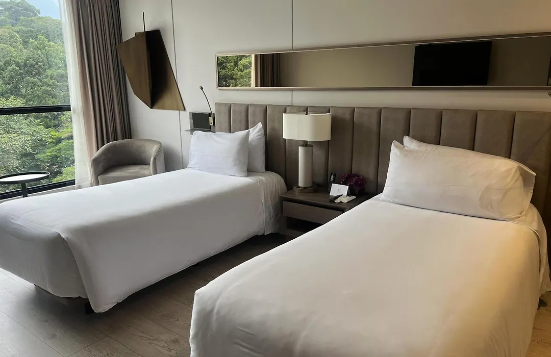 York Medellin, Curio Collection By Hilton-1