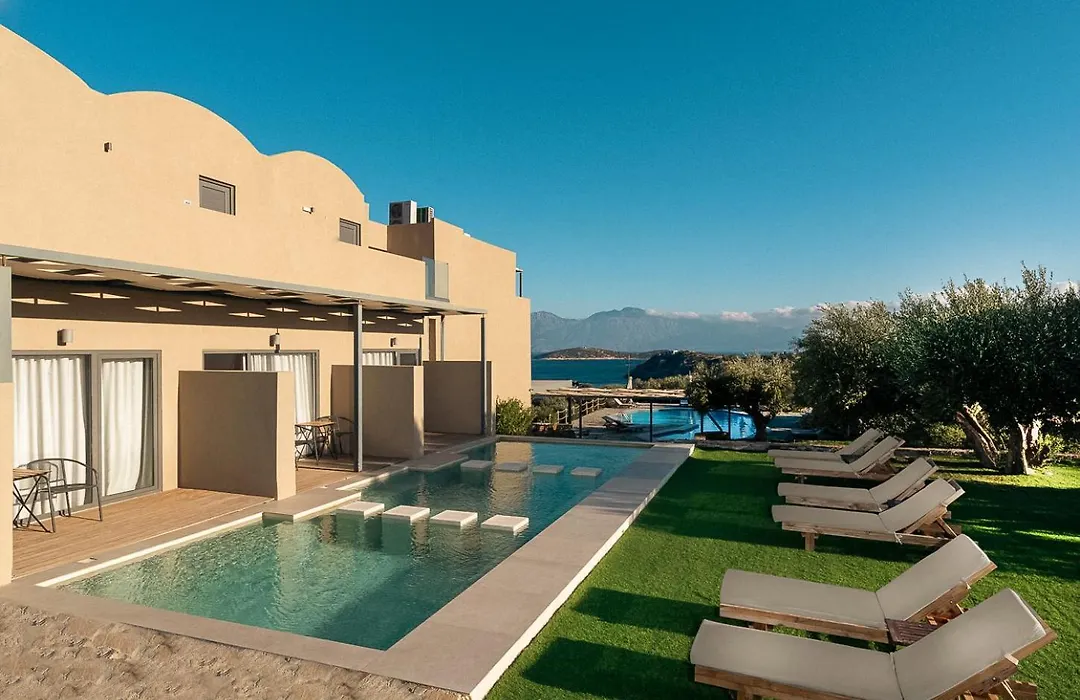 Zeus Eleva Miraya (Adults Only)-1
