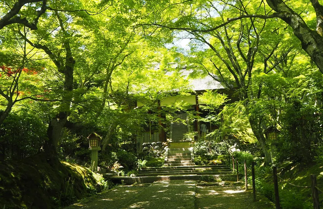 Muni Kyoto-1