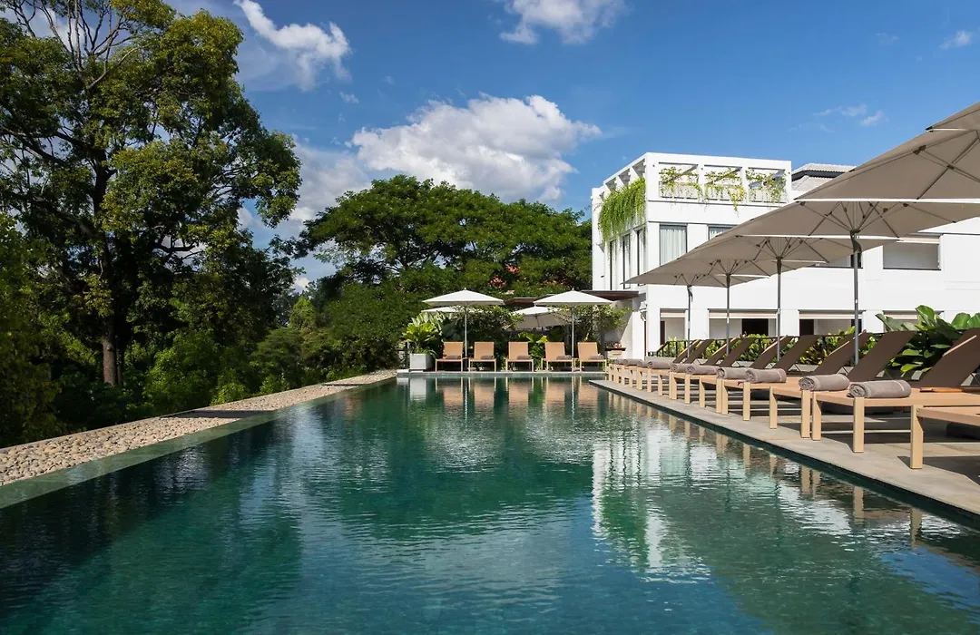 Treeline Urban Resort-1