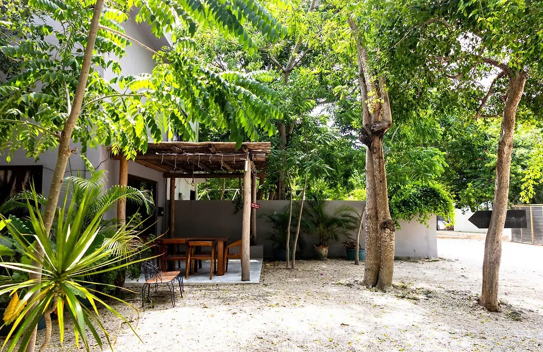Hotel Casa Tortuga Tulum - Cenotes Park Inclusive-1