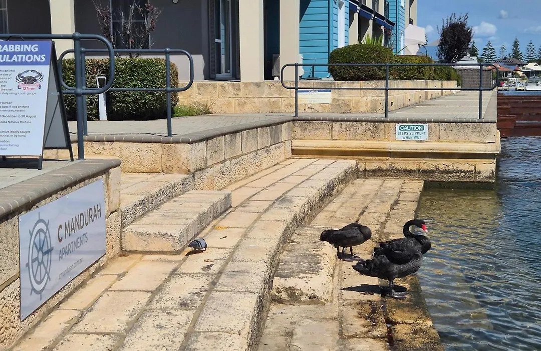 C Mandurah Apartment Resort-1
