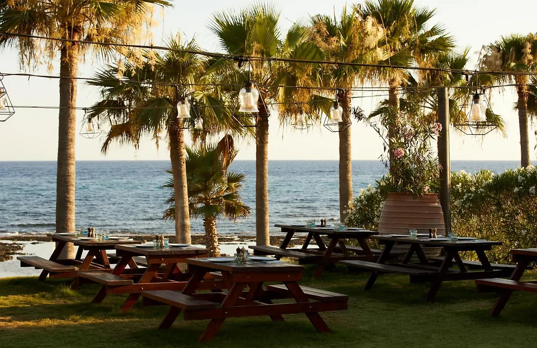 Mare Ayia Napa-1