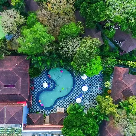 Elephant Court Thekkady-3