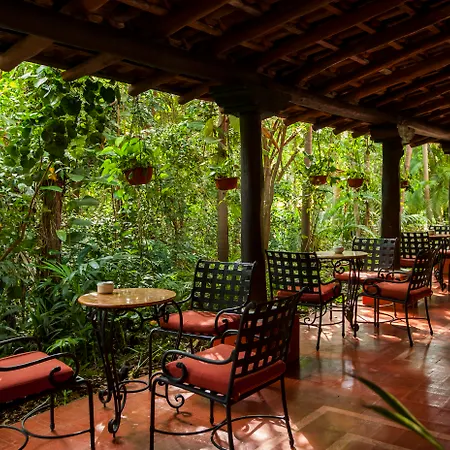 Occidental Cozumel-2