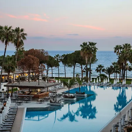 Acanthus Cennet Barut Collection-2