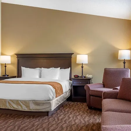 Comfort Inn At Thousand Hills-3