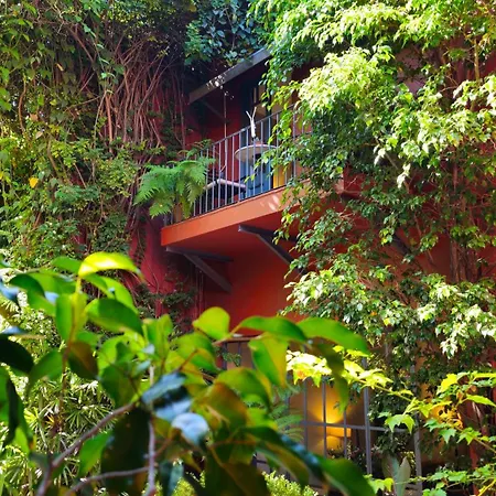 Be Jardin Escondido By Coppola-2