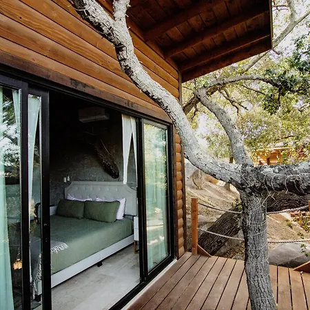 Boskenvid Hotel - Romantic Treehouses & Skypool-2
