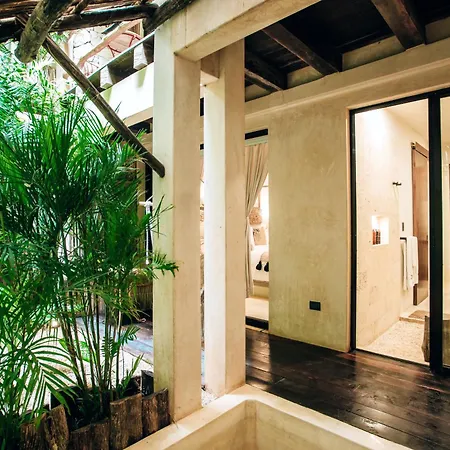 Orchid House Tulum Jungle-2