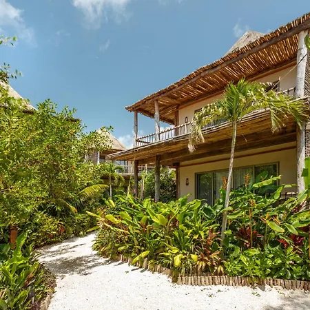 Hotel Shibari - Restaurant & Cenote Club-3