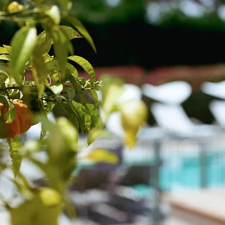Boutique Hotel Villa Fabulite-3