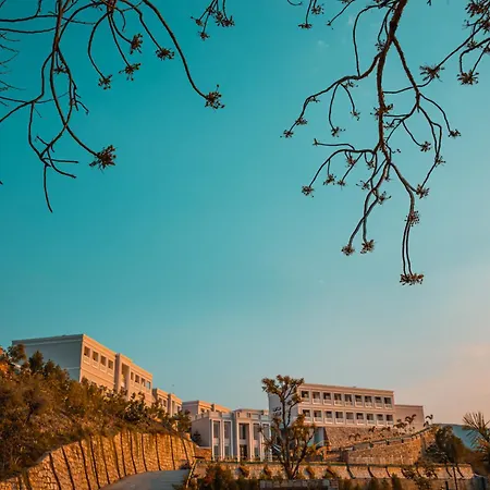 Tree Of Life Vantara Resort, Udaipur-2